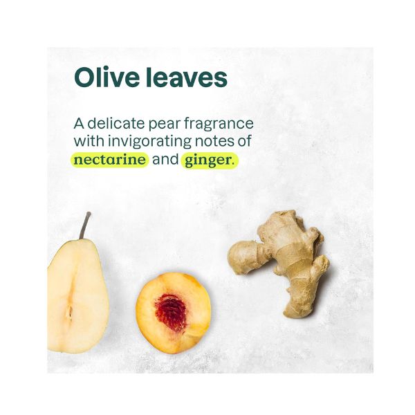 ATTITUDE Body Wash - EWG Verified, Plant-Based & Vegan, Olive Leaves